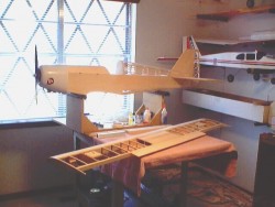 GIANT AEROMASTER_0027.jpg