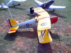 big bird_0006.jpg